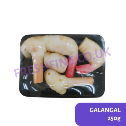 GALANGAL - Image 2