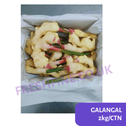 GALANGAL - Image 3