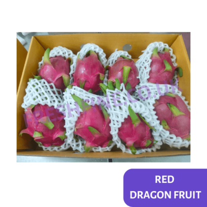 [500KG] RED DRAGON FRUIT - Image 2