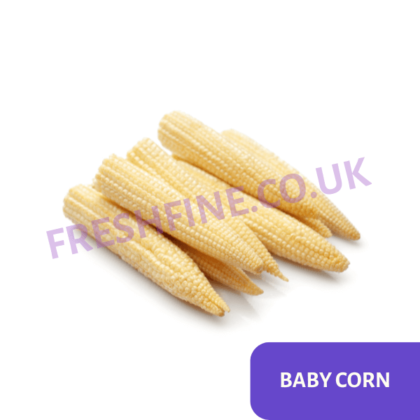 BABY CORN