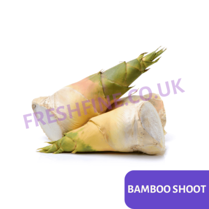 BAMBOO SHOOT