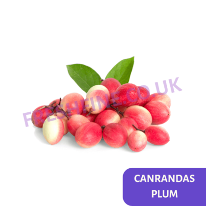 CARANDAS PLUM