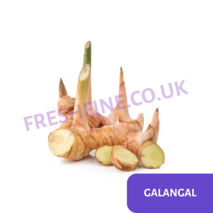 GALANGAL