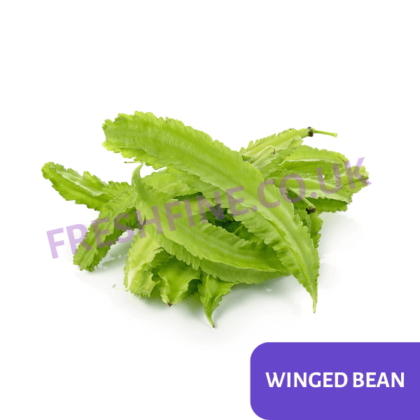 WINGED BEAN