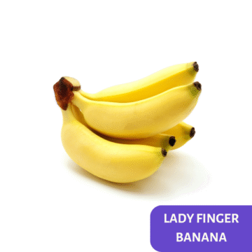 Lady Finger Banana