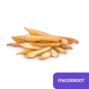 Finger root