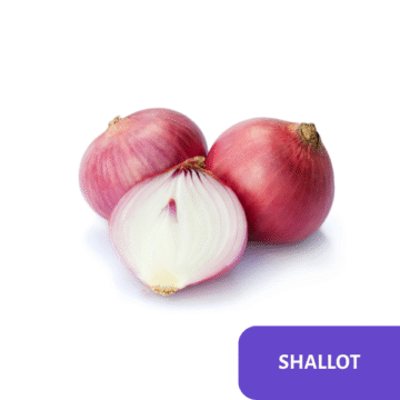 Shallot