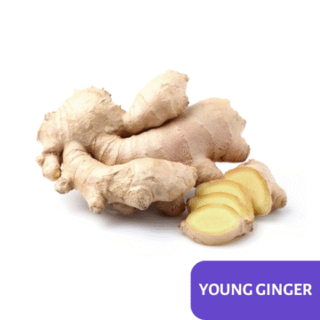 Young Ginger
